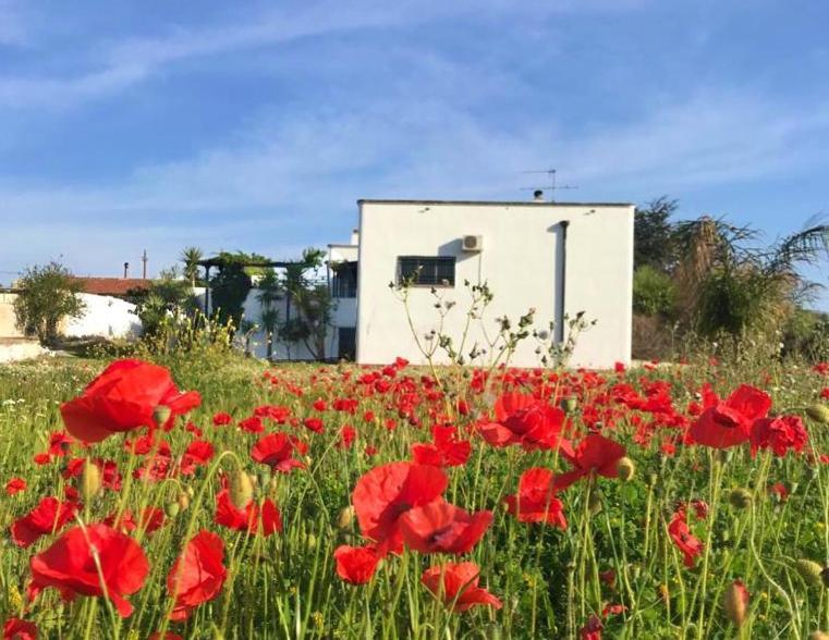 Villa Sara Di Puglia Castellaneta Eksteriør bilde