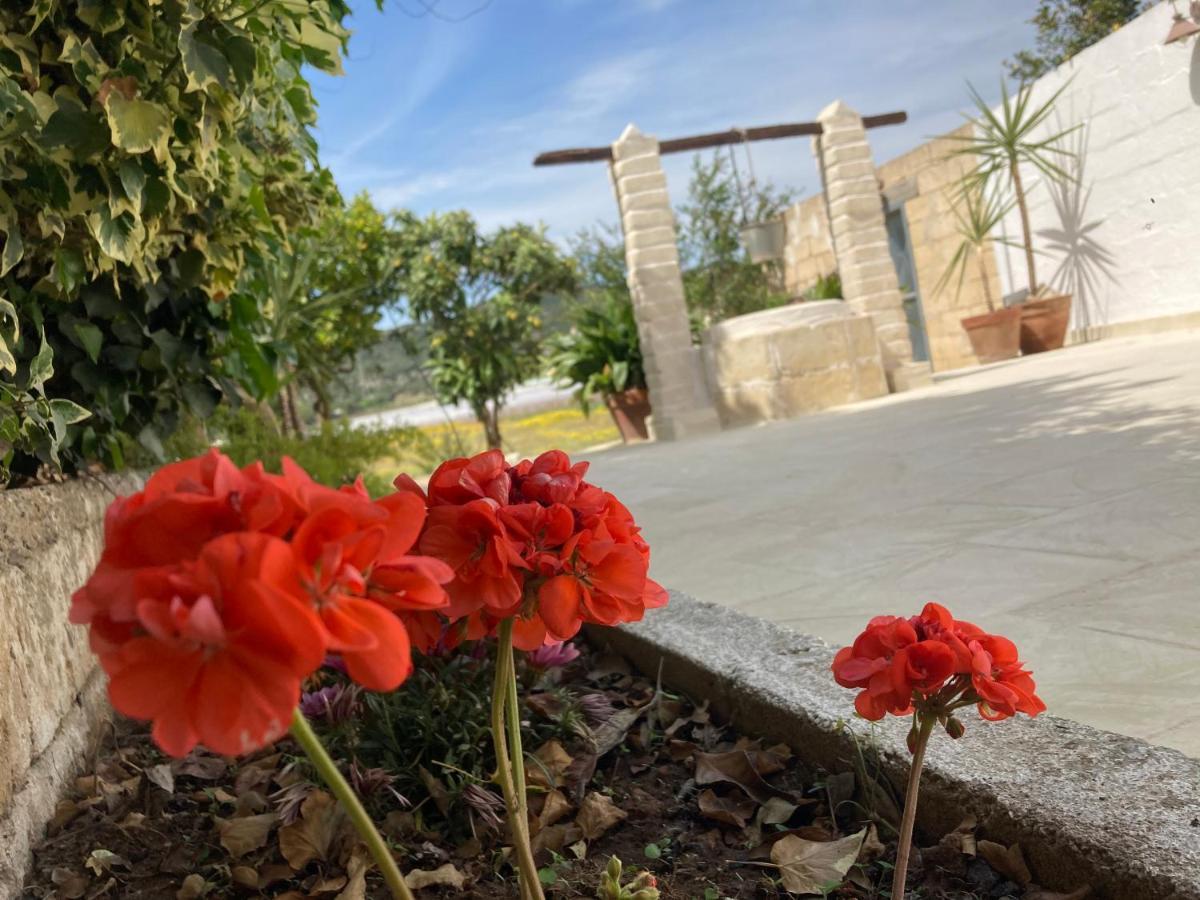 Villa Sara Di Puglia Castellaneta Eksteriør bilde