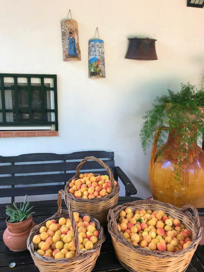 Villa Sara Di Puglia Castellaneta Eksteriør bilde