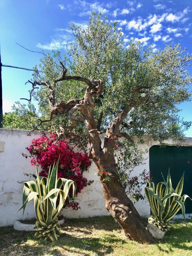 Villa Sara Di Puglia Castellaneta Eksteriør bilde